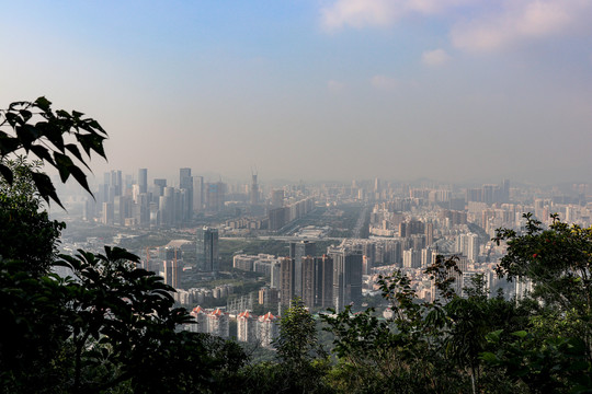 深圳市景观