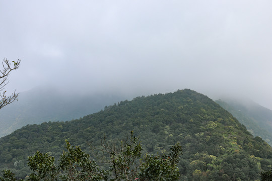 深圳梧桐山景观