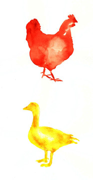 鸡鸭水彩插画