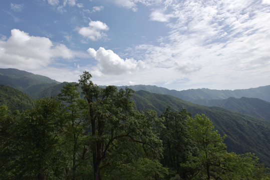 贵州武陵山脉的山林