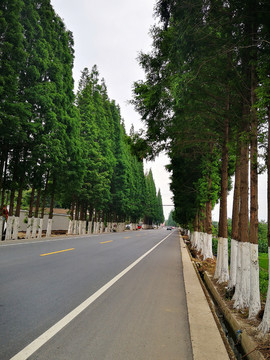 乡村公路