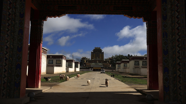 阿坝各莫寺