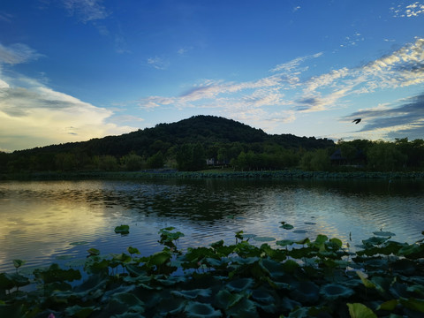 美丽中国之芜湖