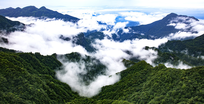 南川金佛山云海