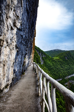 金佛山绝壁栈道