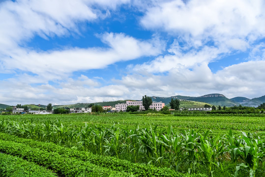 山村校园