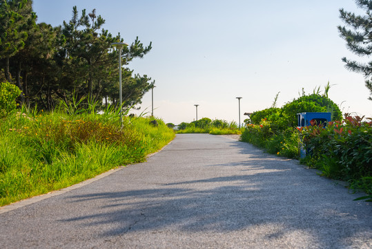 海边小路