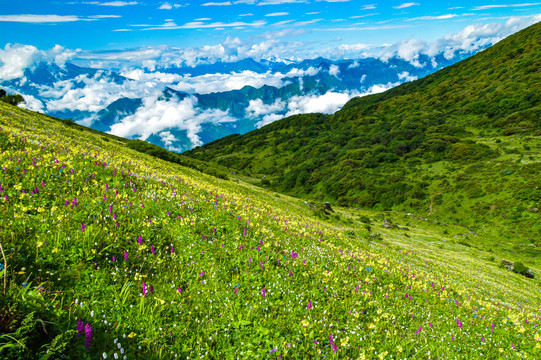 九顶山风光壁纸