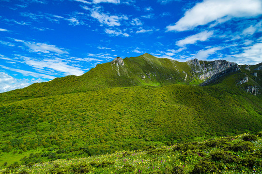 九顶山风光壁纸