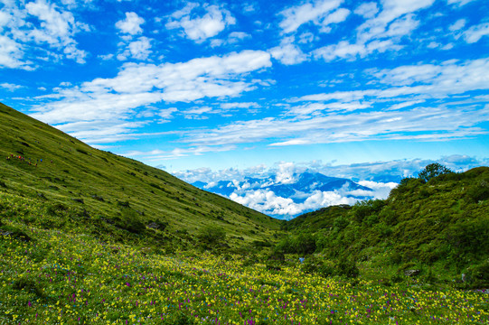 九顶山风光