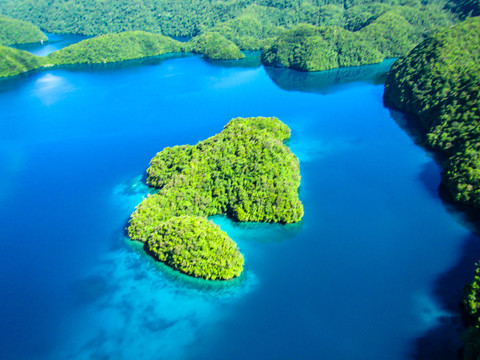 帕劳南部泻湖石岛群