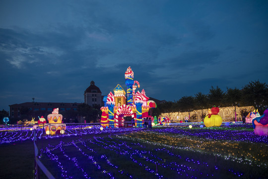 梦幻灯彩灯展夜景