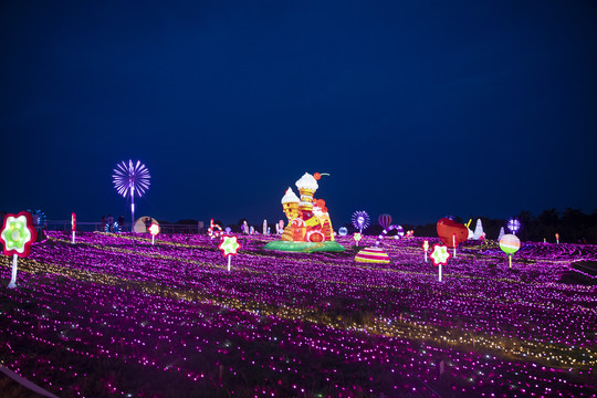 梦幻灯彩灯展夜景