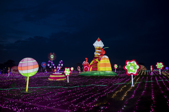 梦幻灯彩灯展夜景