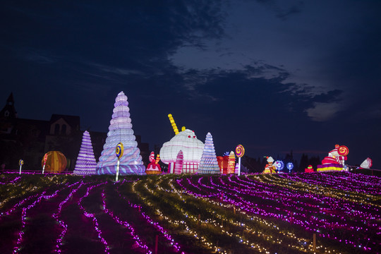 梦幻灯彩灯展夜景