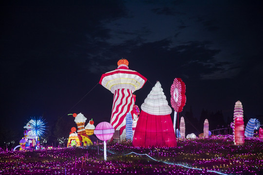 梦幻灯彩灯展夜景