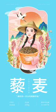 藜麦手绘插画