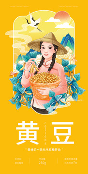 黄豆手绘插画