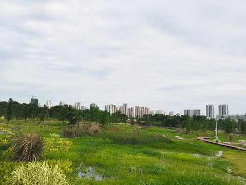 柳州龙湖风光