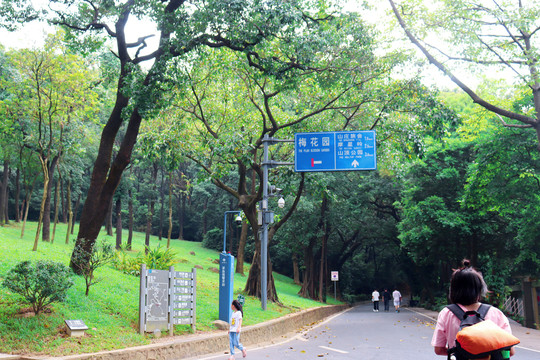 白云山景区徒步登山风景图