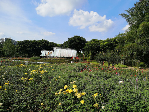 城市花园