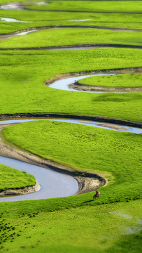 阿坝曼扎塘黄河湿地