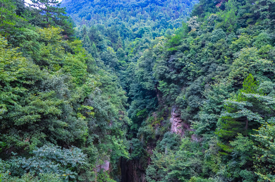 湖南张家界风光