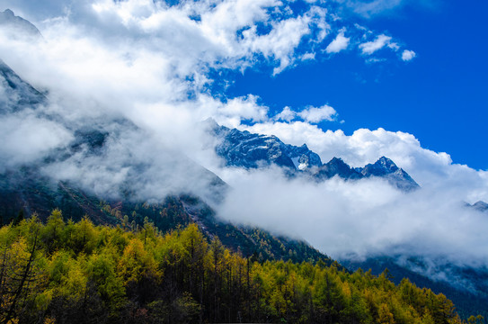 长坪沟四姑娘山