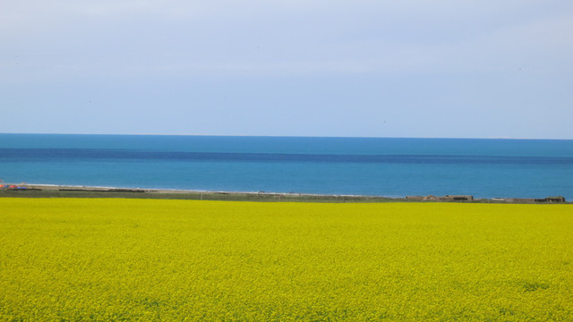 碧蓝青海湖