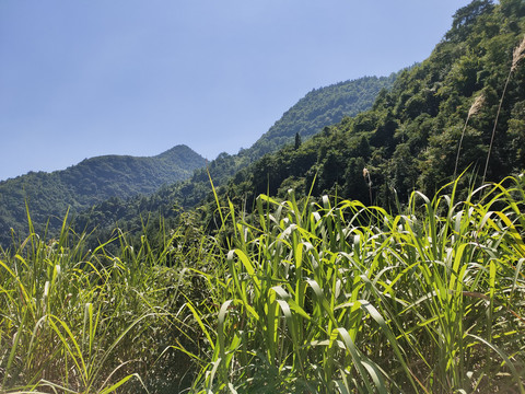 大山