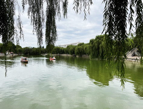 公园划船湖水