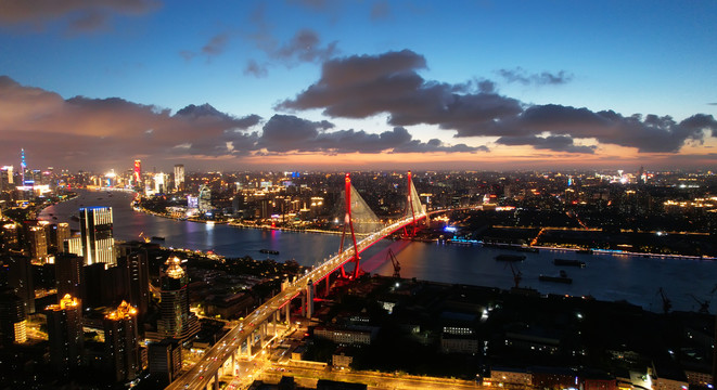 杨浦大桥夜景