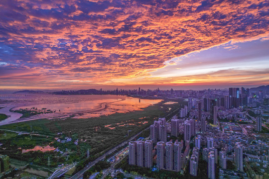 广东深圳福田都市风光