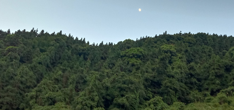 风景