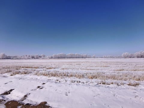 雪后大地