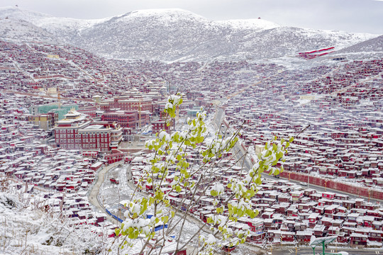 雪中色达风光