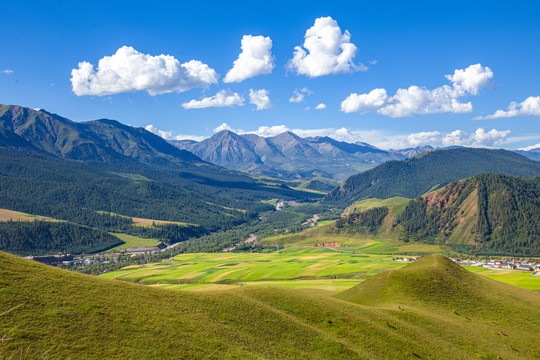 青海卓尔山