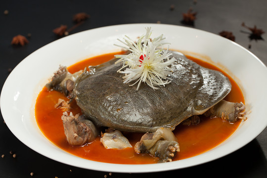 红烧甲鱼鳖