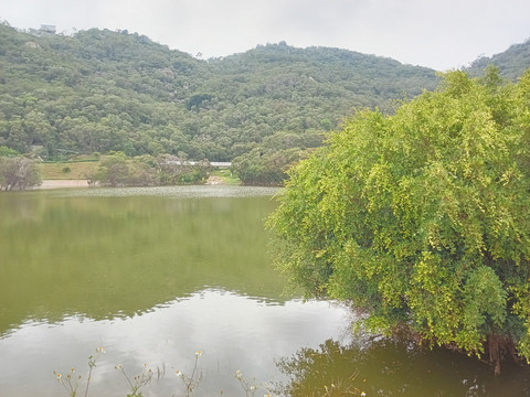 青山绿水