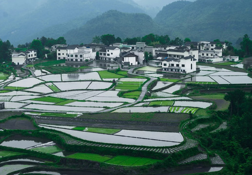 贵州高原水田