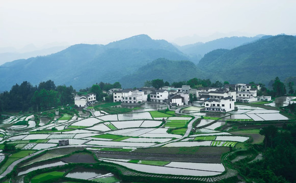 贵州高原种植