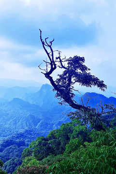 风景青城山