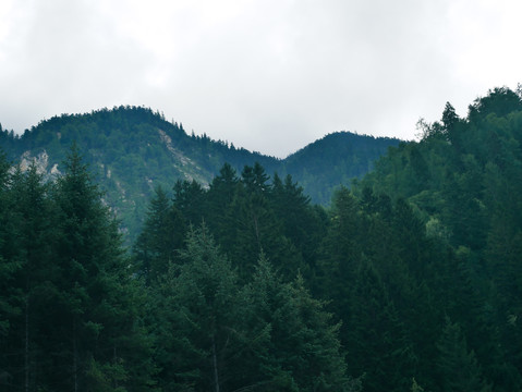 青山