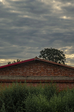清晨层云下的乡村红砖房