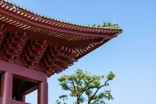 顺德宝林寺古建筑屋檐