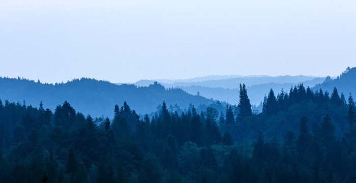 远山森林