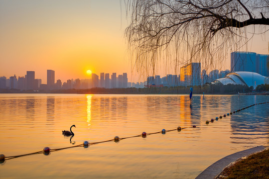 合肥天鹅湖全景图