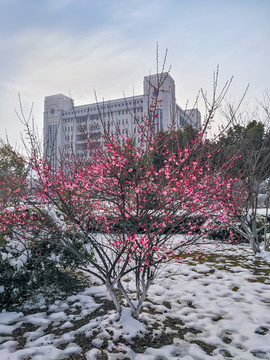 安徽农业大学