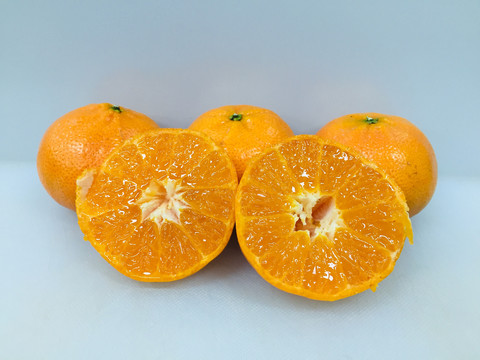 南非柑