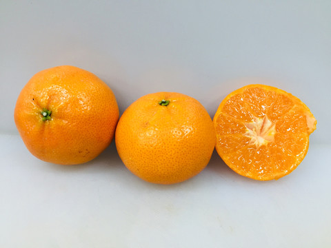 南非柑
